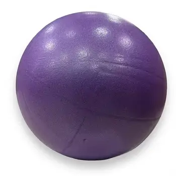 М'яч для пілатес йоги реабілітації Pilates ball Mini Gemini 25 см Фіолетовий