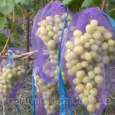Захисна сітка-мішок для захисту винограду від ос і птахів 5 кг 28*40 см, 50 шт., фіолетова, Найкраща Якість!