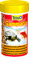 Корм для черепах Tetra Gammarus 100 мл (144514)