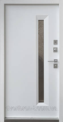 Двері Qdoors Стріт Норд, метал Антрацит 7021 фарба/МДФ біле дерево, фото 2