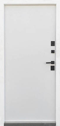 Двері Qdoors Стріт Елегат, метал Антрацит 7021 фарба/МДФ біле дерево, фото 2