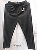 Чоловічі спортивні штани трикотаж 48-56 норма, фото 2