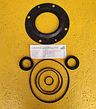 Ремкомплект заднього бортового редуктора Т40, фото 2
