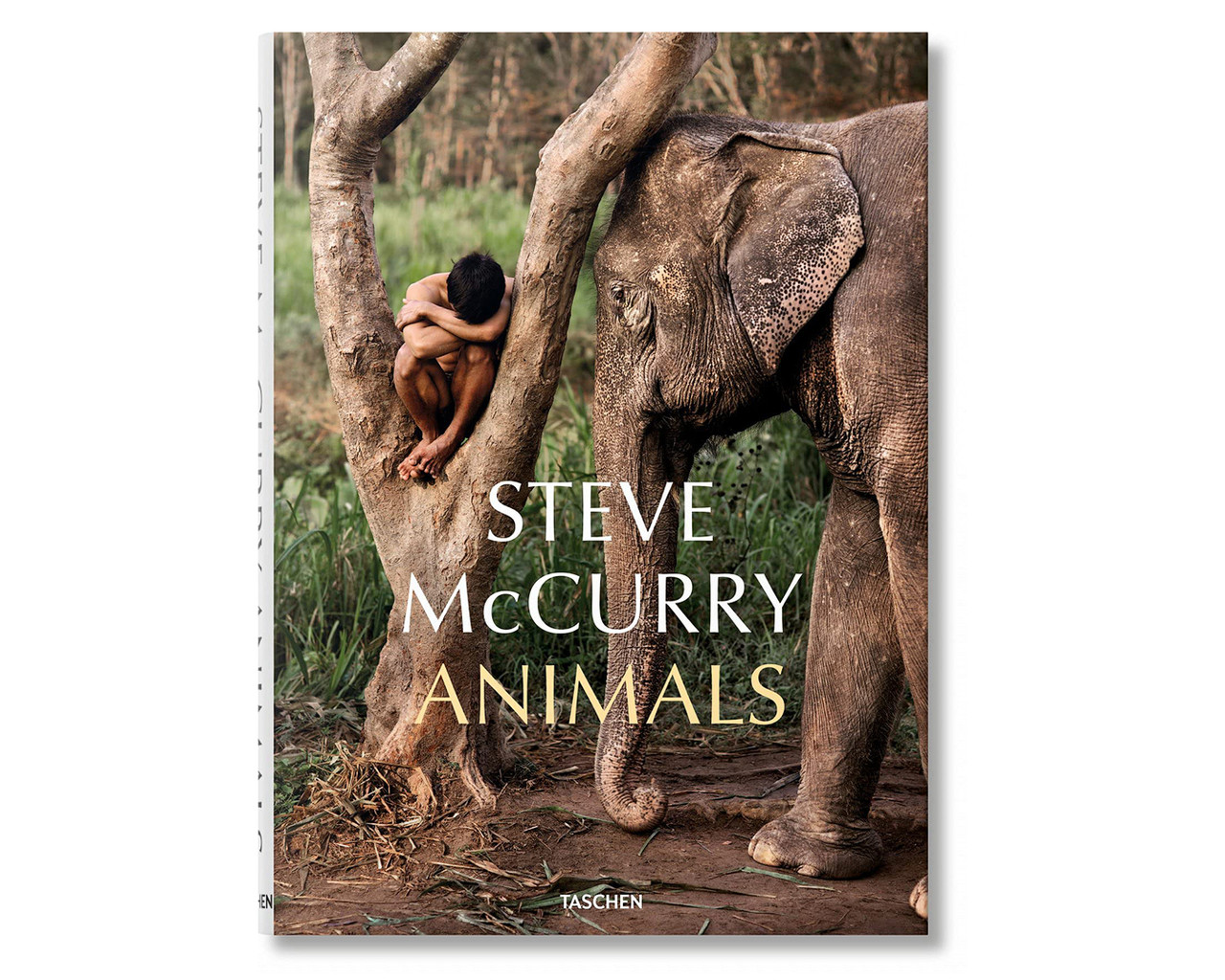 Книга Steve McCurry: Animals