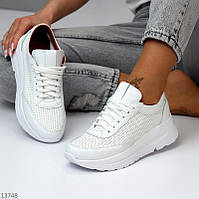 Модні шкіряні жіночі білі кросівки снікерси натуральна шкіра з перфорацією