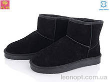 Уггі чоловічі "PLPS" 5854-8