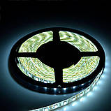 Світлодіодна стрічка Venom SMD 5050 60 д.м. герметична (IP65) Premium 5 м. RGB, фото 2