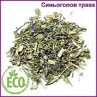 Николайчики трава (синеголовник трава) 500г