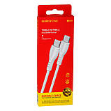 Кабель Borofone BX51 Triumph Type-C to Type-C 60W, фото 2