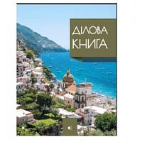 Деловая книга А4 96 л Business book-1 обложка-твердая клетка Костел ТМ АртПринт (1)