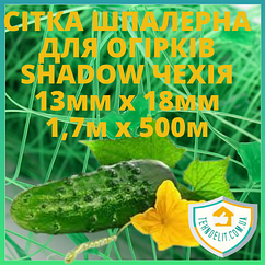 Огіркова сітка 13*18 1.70*500 метрів (Україна)