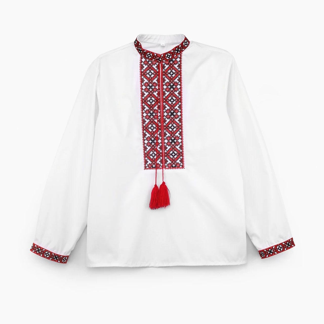 Вишиванка на хлопчика Moderika Василько з червоною вишивкою 122, фото 1