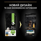 Purina Pro Plan Puppy Large Robust Healthy Start для цуценят з куркою 12 кг, фото 2