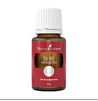 Чайное дерево/Tea Tree эфирное масло ЯнгЛивинг/ Essential Oil Young Living, 5 мл