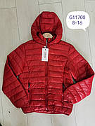 Куртки для дівчаток оптом, Grace, 8-16 рр. арт. G11700