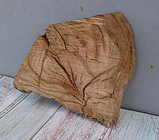 Зріз дерева для декупажу, рукоділля, декору будинку (не оброблений) сухий дуб 210х260мм., фото 3