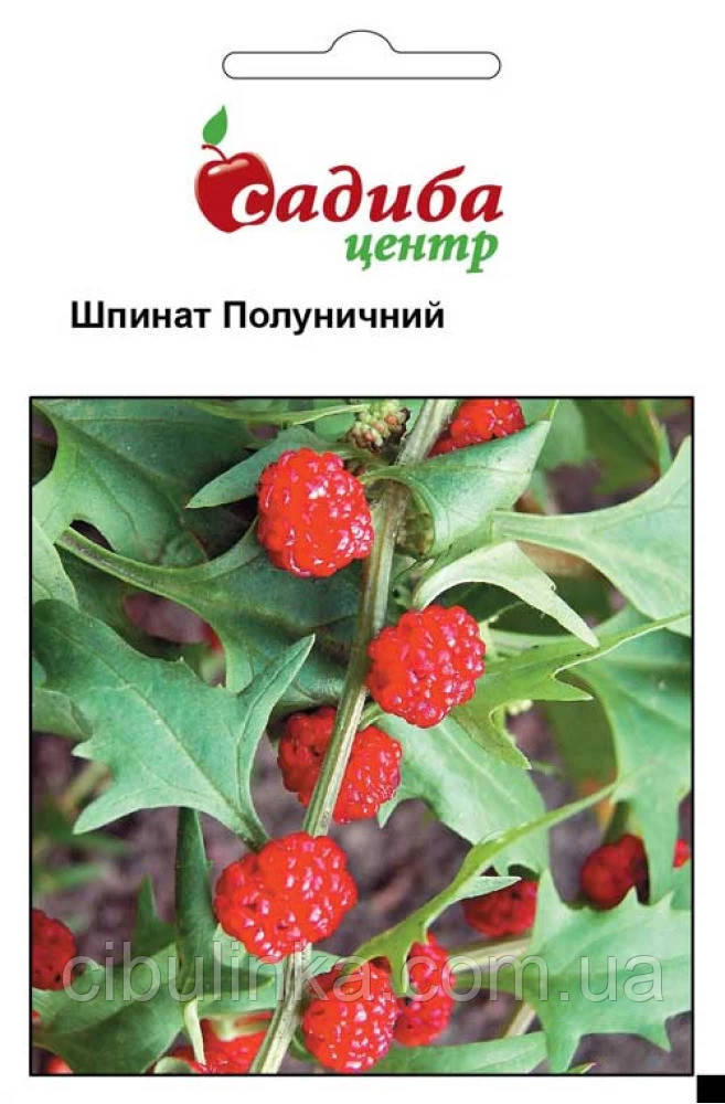 Шпинат Полуничний Садиба центр 0.1 г, фото 1