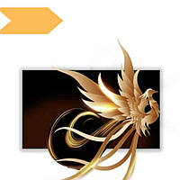 Екран Френеля для проектора XPRO LedProjector Fresnel B (FFB), 100" чорний (W01040_23999)