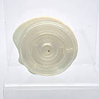 Універсальний тримач для телефону PopSocket (попсокет) Shell Marine Life, фото 3