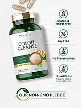 Детокс для очищення товстої кишки з трав і клітковини Carlyle Herbal & Fiber Colon Cleanse Detox 300 капс., фото 3
