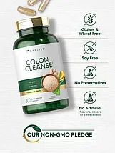 Детокс для очищення товстої кишки з трав і клітковини Carlyle Herbal & Fiber Colon Cleanse Detox 300 капс., фото 4