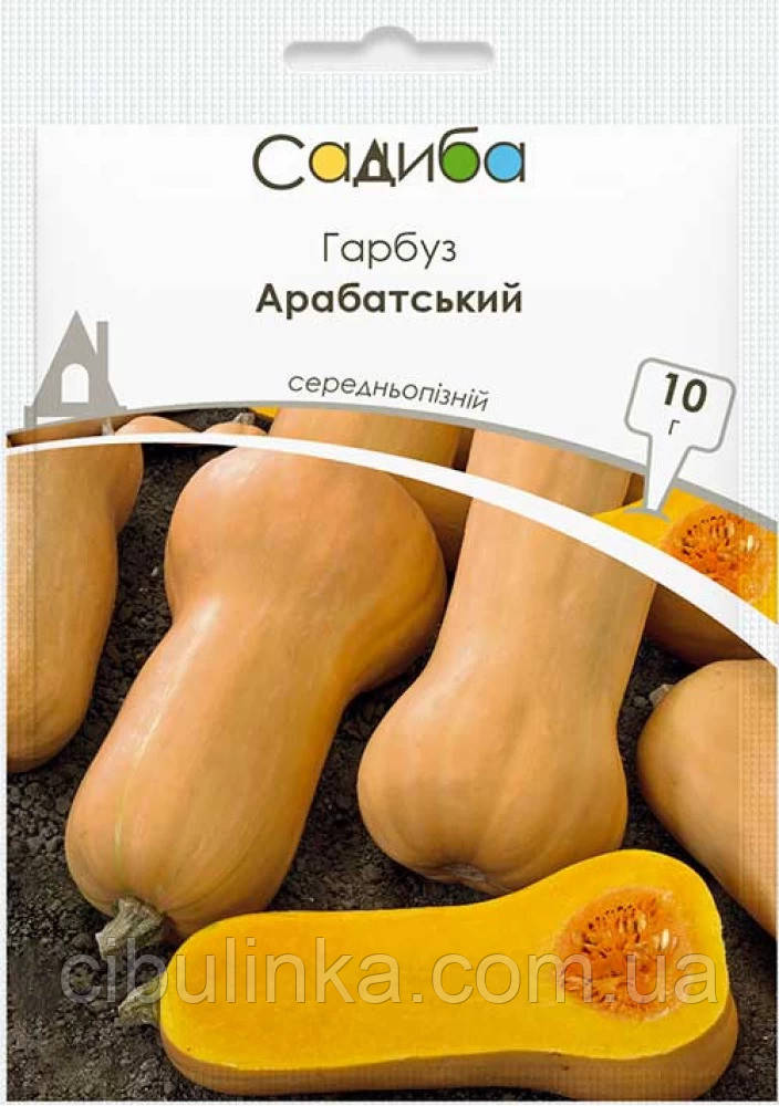 Гарбуз Арабатський (на кашу) Садиба центр 10 г, фото 1