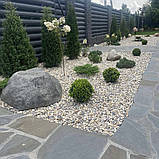 Крихта мармурова кремова для клумб та ландшафту (ціна за 1 кг від 1 тони), фото 7