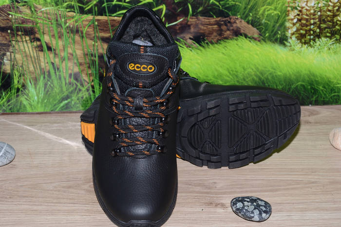 Ecco biom cheap terrain 2120