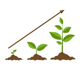 Стимулятори росту та укорінювачі