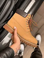 Timberland