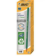 Олівець графітовий BIC HB, зелений Evolution без гумки (3086124000291)