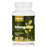 Натуральная добавка Jarrow Formulas Ashwagandha, 120 вегакапсул CN8193 DS