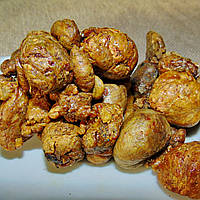 Бджолиний прополіс, 10г