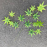 Гілка клена зеленый силикон 60 см, фото 2