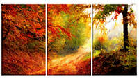 Модульная картина Декор Карпаты XL50s 187х99 см Осенний лес (hub_bJaZ61265) CM, код: 1224739