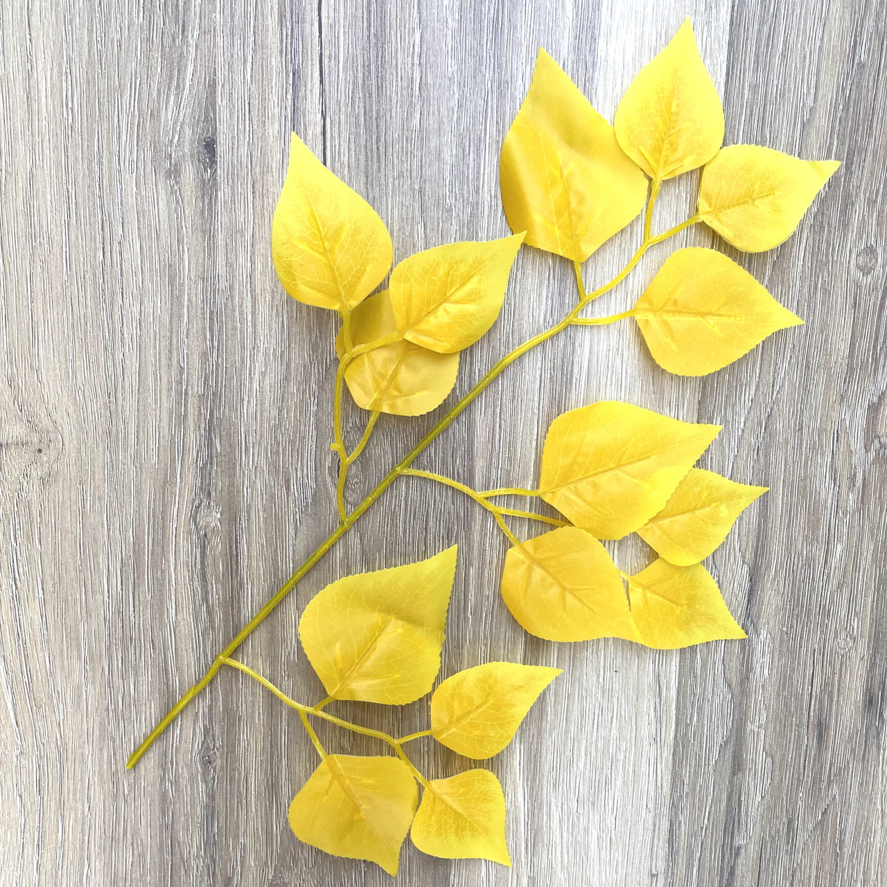 Гілка дерева береза ​​30 см, фото 1