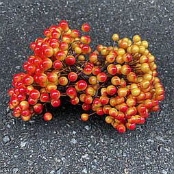 Калина гілочка жовто-червона (500 шт) ягода
