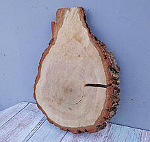 Зріз дерева для декору та інтер'єру (не оброблений) дуб 390х280мм., фото 2
