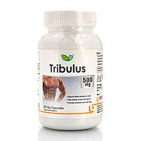 Трибулус, Гокшура, Tribulus 500mg Biotrex 60 veg. capsules для увеличения тестостерона