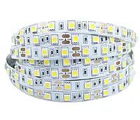 Светодиодная лента 5050 60 LED белая 10.0-12.5 Lm/LED IP33