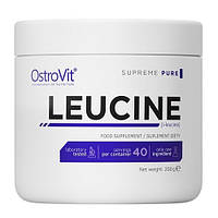 Амінокислоти (БЦАА) OstroVit LEUCINE (200 грам.)