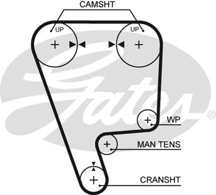 Ремінь ГРМ Gates 5468XS (8597-15468) (ремінь 1295.00 мм/25.40 мм/136 трап. зуб.) для CITROEN, Evasion, Xantia, XM, Xsara, ZX,, фото 1