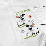 2-х предметний комплект для новонароджених Песики, фото 2