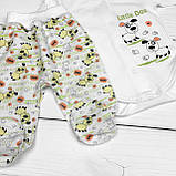 2-х предметний комплект для новонароджених Песики, фото 3