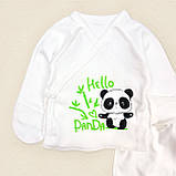 Набір новонародженого сорочечка та повзунки з принтом Panda, фото 2
