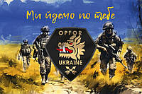 Флаг 214 Отдельного cпециального батальона «OPFOR» ВСУ «Мы идем за тобой»