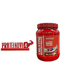 Креатин моногидрат Activlab Creatine Monohydrate, 500 грамм