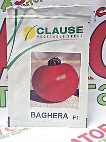 Насіння томату низькорослого Багіра F1, 5 г, Clause