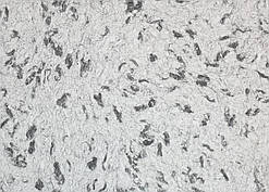 Рідкі Шпалери "Новий-Тон" Тон 6