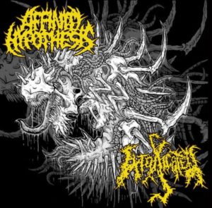 Affinity Hypothesis / Intoxicated – Split CD (2012) (CD Audio)